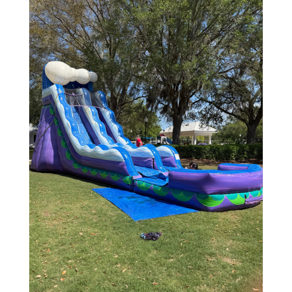 Purple Wave Slide