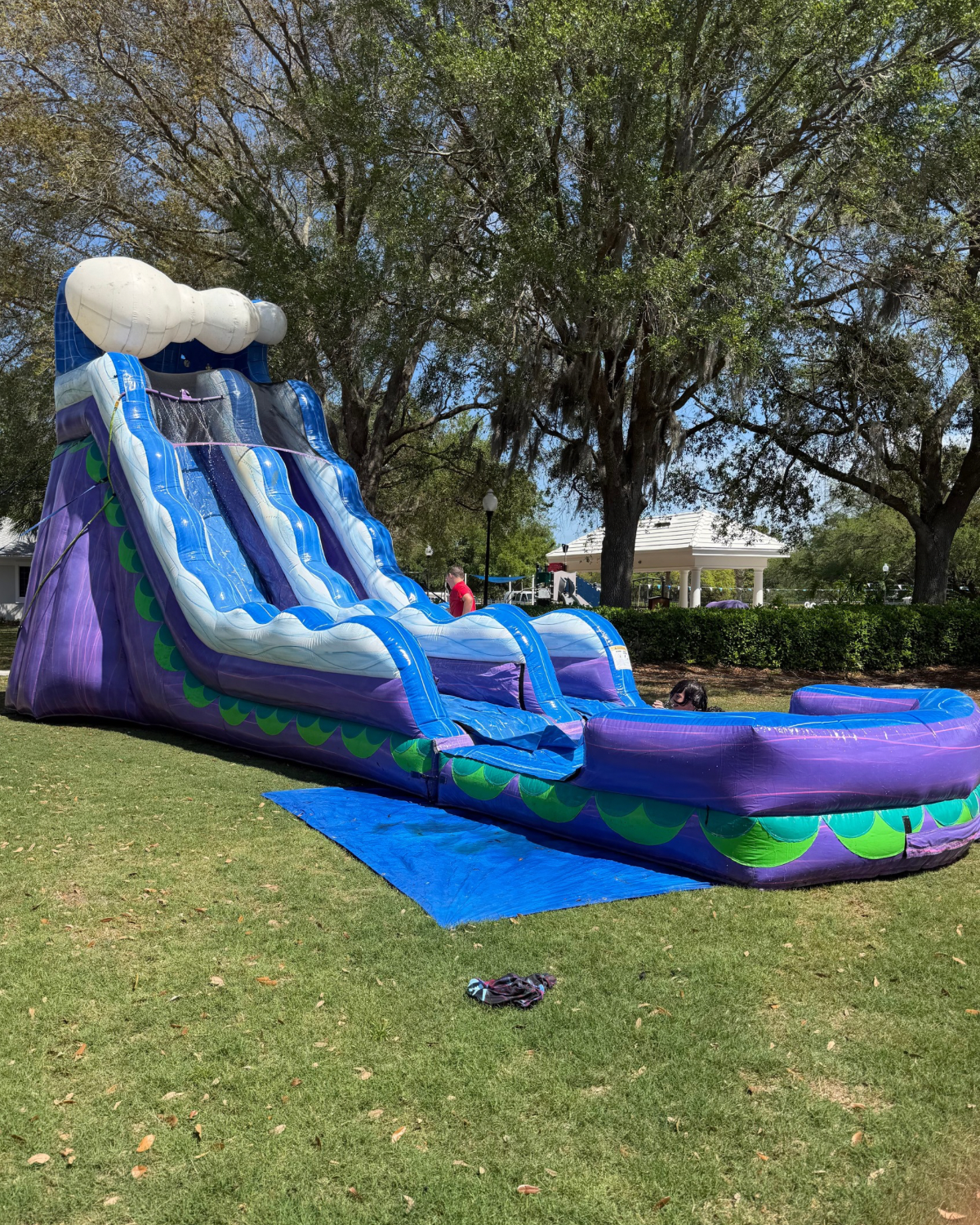 Purple Wave Slide